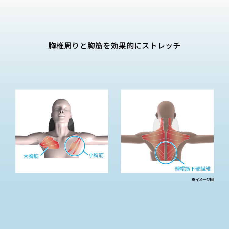 バックストレッチャーエアリフト イメージ画像07