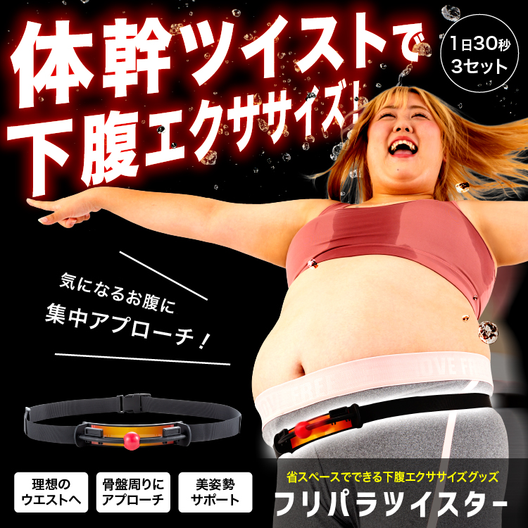 フリパラツイスター イメージ画像02