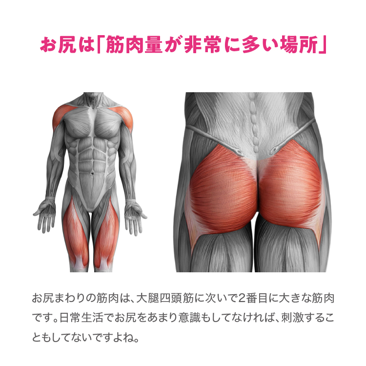 ヒップほぐしゃー イメージ画像03