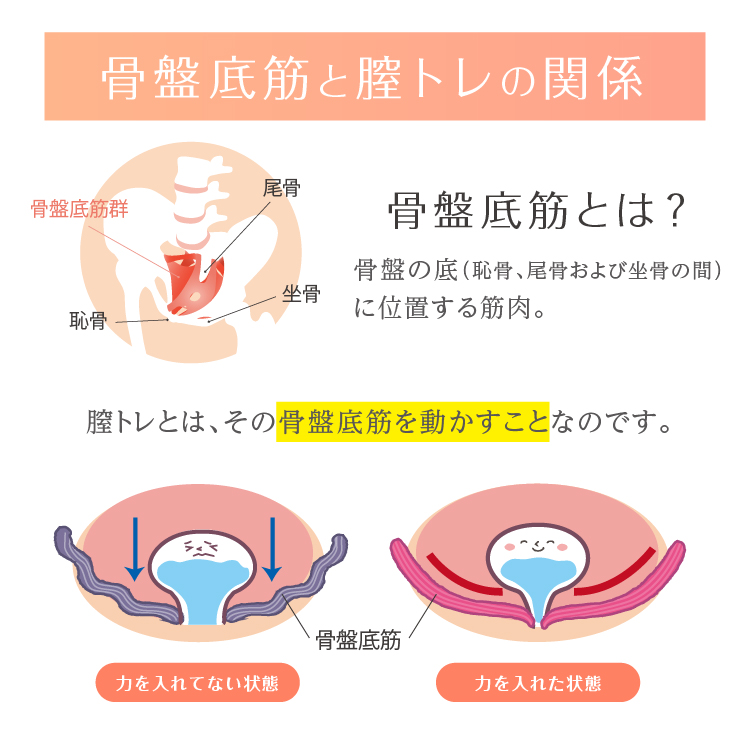 骨盤底筋エクササイズクッション　キュットブル イメージ画像04