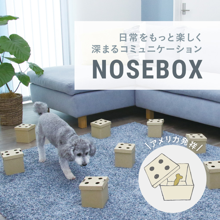 NOSEBOX イメージ画像02