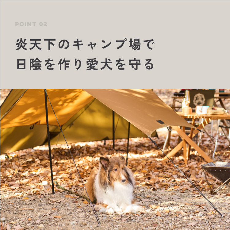 Wan＆Co. KOGURE -小暮- イメージ画像06