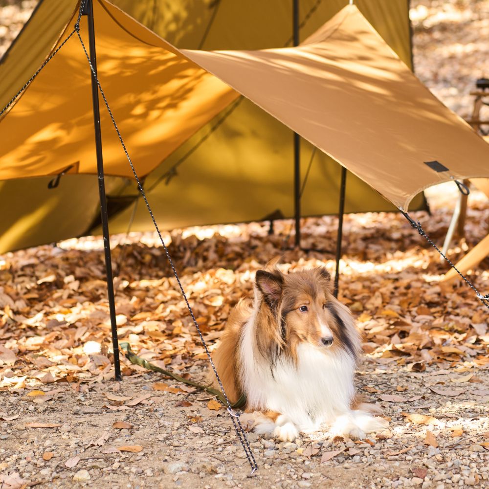 Wan＆Co. KOGURE -小暮- イメージ画像02