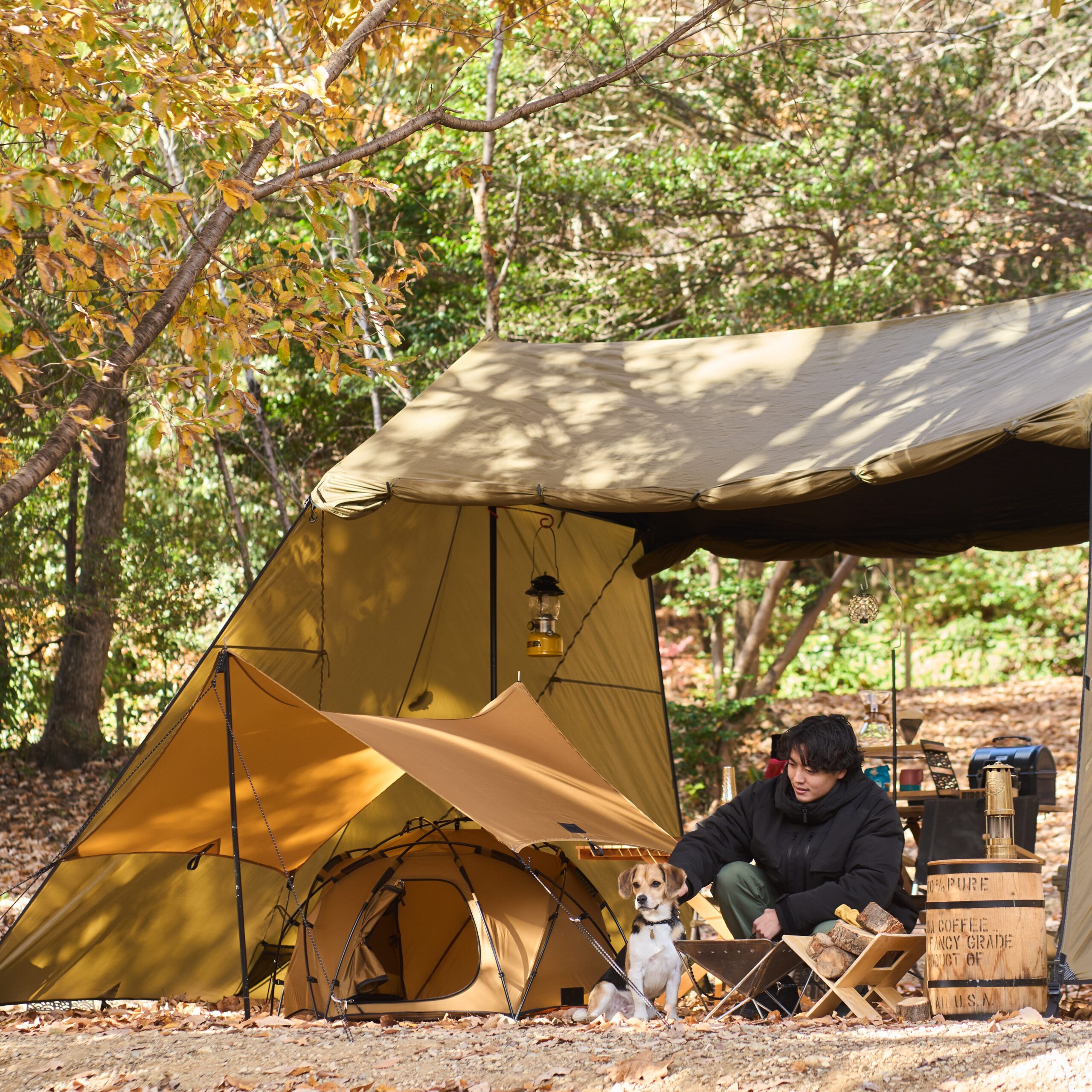 Wan＆Co. KAMIKURA -神座- イメージ画像03