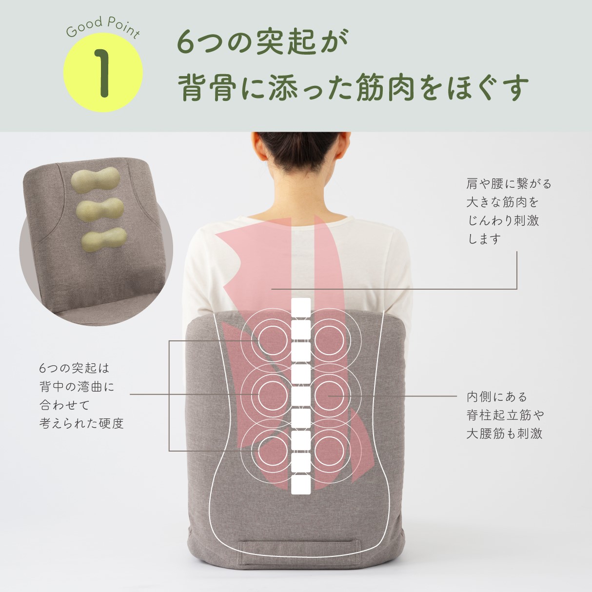 からだスッキリ座椅子 ホグレッシュ イメージ画像05