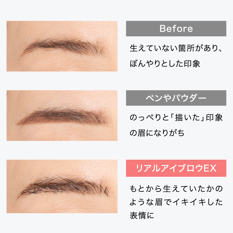 リアルアイブロウEX イメージ画像05