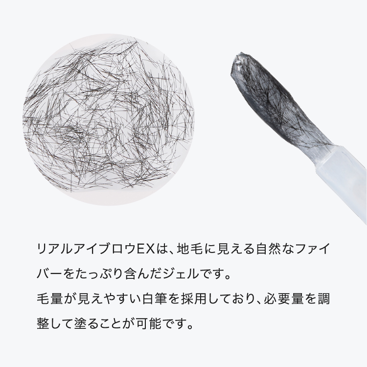 リアルアイブロウEX イメージ画像06